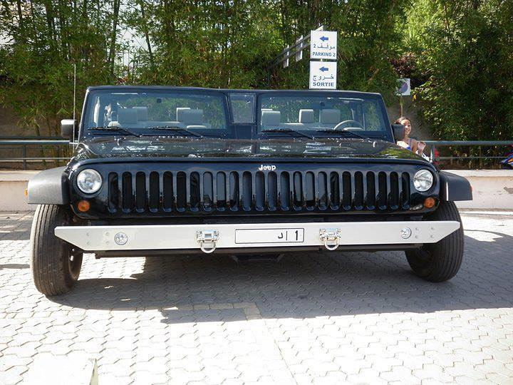 Топ-17 самых абсурдных и невероятных вещей, которые можно найти в Дубае