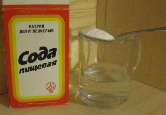 как делать рецепт алоэ мед лимон