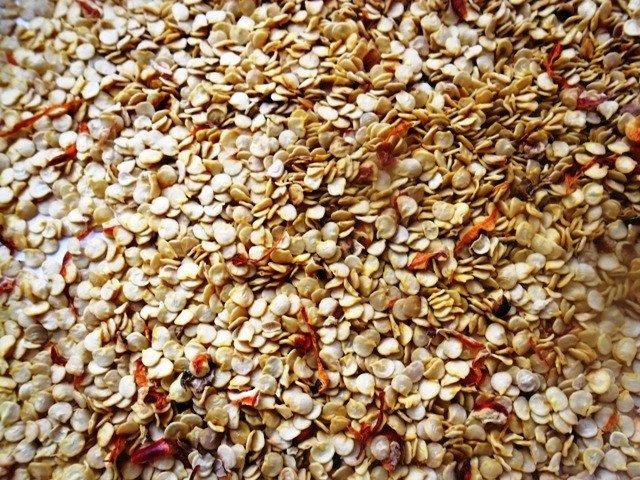 Как выбирать и купить семена овощей хорошего качества?